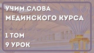 1 том | 9 урок | Учим слова Мединского курса | Арабский язык ИНТЕРЕСНО