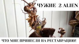 ЧУЖИЕ АВТОРСКИЕ КУКЛЫ НА РЕСТАВРАЦИЮ Alien dolls restoration