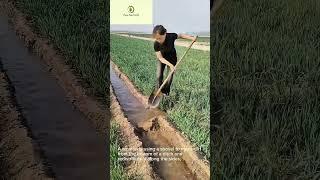 Creuser et niveler un fossé