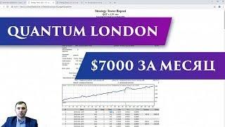 Советник Quantum London | Победитель для конкурсов