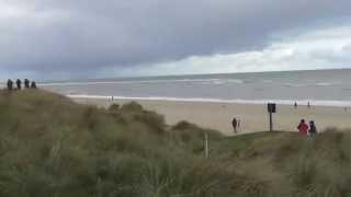 4 Little Auk birds fly past Winterton  Norfolk UK 22nov15 1114a