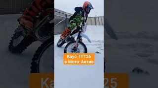 Kayo TT125 в мотосалоне Мото-Актив #мото #зима #кросс #первыйпитбайк #kayo