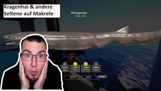 Viele Seltene Fische Wie Kragenhai auf Tote Makrele am Nordmeer | Russian Fishing 4 #594 | Deutsch