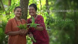 Island cabbage - Edible leaves of the Pacific