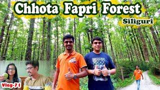 রোববারের বিকেলে ঘুরে এলাম Chhota Fapri Forest  শিলিগুড়ির একদম কাছে | Bengali Vlog Cholonto Dinlipi