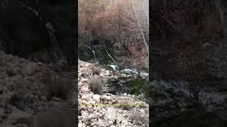 #explore the #beautiful #nature of #afghanistan قریه شورشره ولسوالی الله یار، ولایت #غور