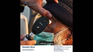 Your ZAKAT is a Vital Lifeline for others | Muazzam Welfare Hospital