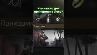 Выполнить прикормку в лесу и ВЫЖИТЬ? | Escape from Tarkov | #Shorts