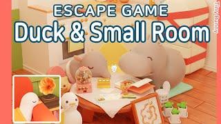 Escape Game Duck & Small Room Walkthrough (Hiboshi Panda Studio) | 脱出ゲーム アヒルと小さな部屋