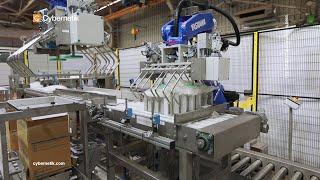 Case Packer for Pouches | Cybernetik End of Line Automation