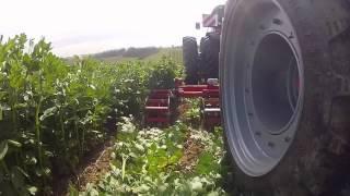 Green Tillage Planting with Horsch Maestro 8.60 CC