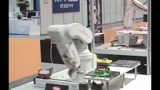 Mitsubishi Electric RV-2SDB Robot
