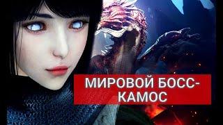 Мировой босс КАМОС!Советы для новичков!(БДО,Black Desert)