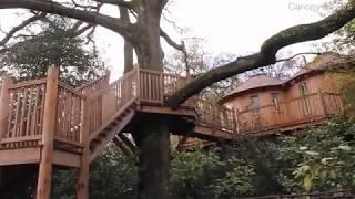Incredible treehouse offers peaceful Somerset getaway