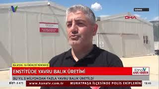 ENSTİTÜDE YAVRU BALIK ÜRETİMİ