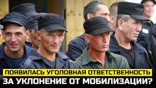 Появилась уголовная ответственность за уклонение от мобилизации. Мобилизация 2025