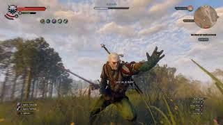 The Witcher 3 ultra hair physics remastered rest teaching