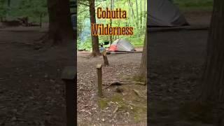 #short Drive Thru Hickey Gap Campground | Cohutta Wilderness, North Georgia