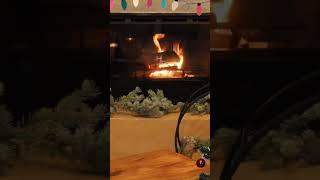 FirePlace Relaxing music and sounds. Please join for full video. Thank you