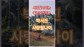 #박서진  #사랑할나이