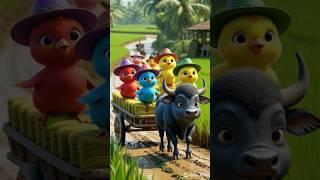 Colorful Cowboy Chicks Ride a Buffalo Wagon Through the Rice Fields  #shorts