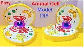 Animal Cell Model (3D) model making using cardboard and paper | howtofunda  | still model