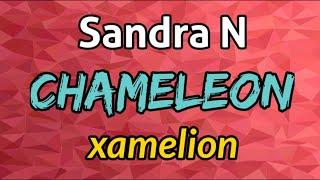 CHAMELEON - XAMELION || SANDRA N || Inglizcha qo'shiq tarjimasi. Albatta ko'ring!