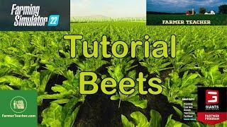 From Planting to Harvesting: Beets in FS 22