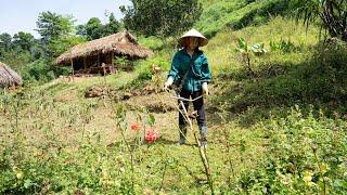 Daily Work on the Farm, Gardening, Harvesting, Cooking: Mountain Life | EP.97