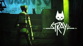 STRAY (ПРОХОЖДЕНИЕ ) #1