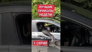 Лучшие приколы недели 1 Серия