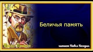 Беличья память Михаил Пришвин  читает Павел Беседин