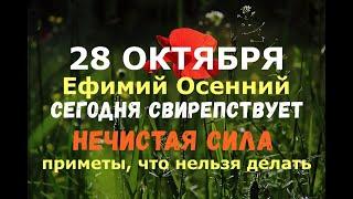 28 октября. Ефимий Осенний. СЕГОДНЯ СВИРЕПСТВУЕТ НЕЧИСТАЯ СИЛА/Народные приметы