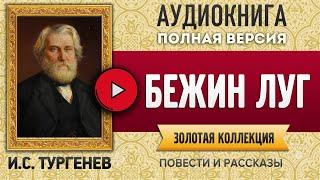 БЕЖИН ЛУГ ТУРГЕНЕВ И.С. - аудиокнига, слушать аудиокнига, аудиокниги, онлайн аудиокнига слушать