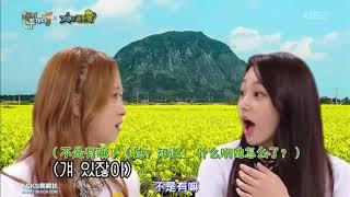 WJSN Dayoung & Gugudan Mina speaking Jeju dialect(Happy together EP513)