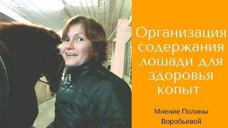 Организация содержания лошади для здоровья копыт / Полина Воробьева / Дивные Кони