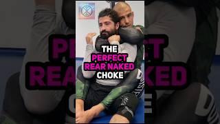 The Perfect Rear Naked Choke