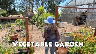Decorating with VEGETABLES!  Cottage Garden's BEAUTIFUL Vegetable Display Garden!
