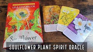 The Soulflower Plant Spirit Oracle | Unboxing and Flip Through