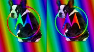 Hello Moto Funny Dog Logo Ident Effects