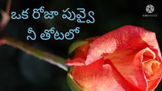 ఒక రోజా పువ్వై//FCLM SONGS//RAVI ABRAHAM SONGS//LATEST TELUGU CHRISTIAN SONGS//