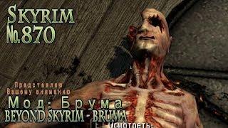 Skyrim s 870 Ищи свищи