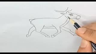 Deer  Drawing Step by Step @APDRAWING !! Как Нарисовать Оленя 