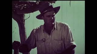 The Jackeroo