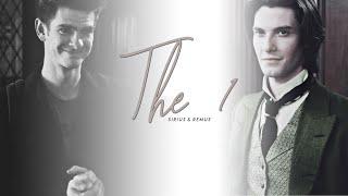 sirius & remus | the 1