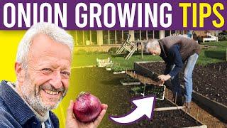 Onion 101: A Beginner's Guide to Growing Onions and Spring Onions from Seed for Large Harvests