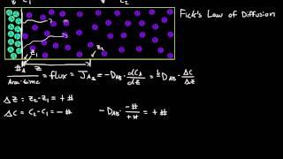 Fick's First Law of Diffusion