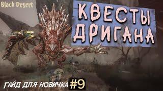 №9 Прохождения Дригана, как расширить склады в бдо  Гайд для новичка в Black Desert 2023