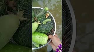 Produce freshly picked from the garden 19.06: Enjoy rural life, garden & nature #rurallife #nature