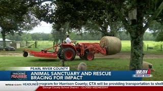 Pearl River Co. Animal Sanctuary and Rescue braces for impact ahead of Francine’s landfall